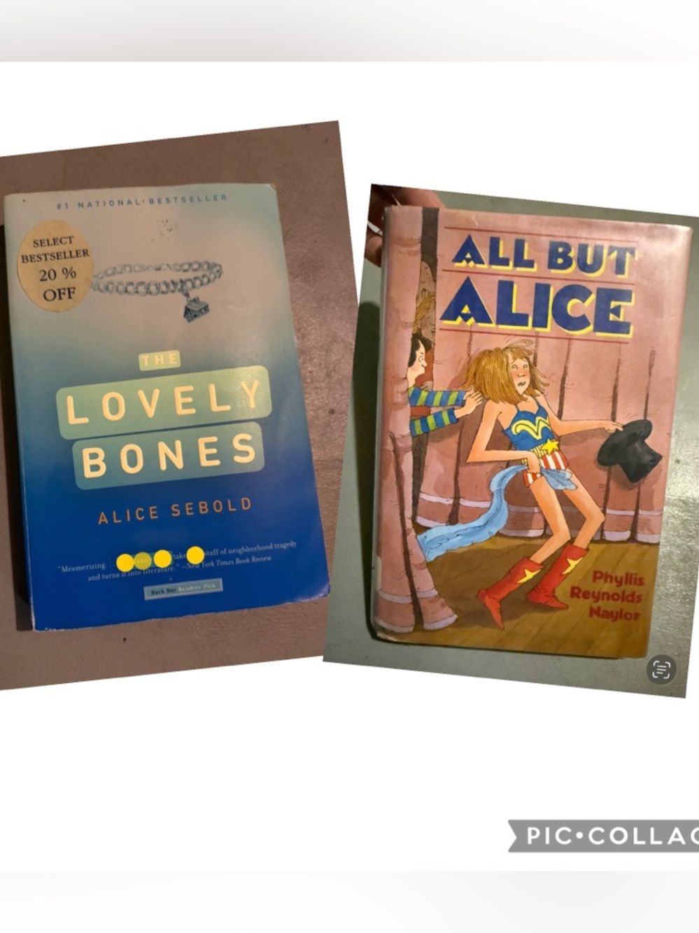 Alice Sebold The Lovely Bones Book & All But Alice Phyllis -Pre-Teen Reading
